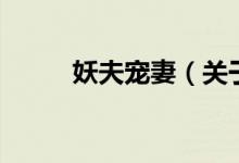 妖夫?qū)櫰蓿P(guān)于妖夫?qū)櫰薜慕榻B）