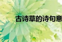 古詩草的詩句意思（古詩草的解釋）