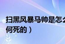 掃黑風(fēng)暴馬帥是怎么死的（掃黑風(fēng)暴馬帥是如何死的）