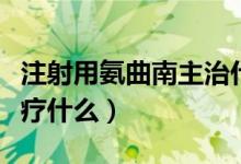 注射用氨曲南主治什么（注射用氨曲南主要治療什么）