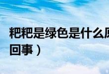 粑粑是綠色是什么原因（粑粑是綠色的是怎么回事）