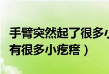 手臂突然起了很多小疙瘩很癢（為什么手臂上有很多小疙瘩）