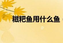 糍粑魚用什么魚（糍粑魚是用什么魚）