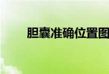 膽囊準(zhǔn)確位置圖（膽囊在哪個(gè)位置）