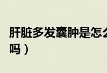 肝臟多發(fā)囊腫是怎么回事（肝臟多發(fā)囊腫嚴(yán)重嗎）