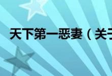 天下第一惡妻（關(guān)于天下第一惡妻的介紹）