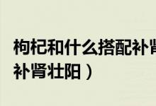 枸杞和什么搭配補(bǔ)腎最好（枸杞與啥搭配最能補(bǔ)腎壯陽）