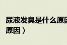 尿液發(fā)臭是什么原因引起的（尿液發(fā)臭是什么原因）