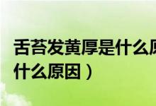 舌苔發(fā)黃厚是什么原因?qū)е碌模ㄉ嗵Πl(fā)黃厚是什么原因）