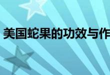 美國蛇果的功效與作用（蛇果的功效與作用）