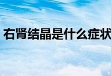 右腎結(jié)晶是什么癥狀（右腎結(jié)晶是什么意思）