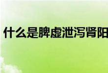 什么是脾虛泄瀉腎陽(yáng)不足（什么是脾虛泄瀉）