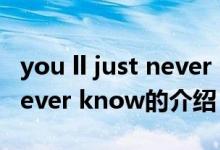 you ll just never know（關(guān)于you ll just never know的介紹）