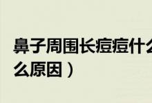 鼻子周圍長(zhǎng)痘痘什么原因（鼻子周圍長(zhǎng)痘痘什么原因）