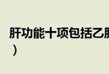 肝功能十項包括乙肝嗎（肝功能十項包括哪些）