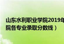 山東水利職業(yè)學(xué)院2019年分?jǐn)?shù)線（2019年山東水利職業(yè)學(xué)院各專業(yè)錄取分?jǐn)?shù)線）