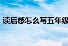 讀后感怎么寫五年級(jí)500字（讀后感怎么寫）