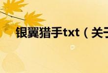 銀翼獵手txt（關(guān)于銀翼獵手txt的介紹）