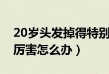 20歲頭發(fā)掉得特別厲害（20歲頭發(fā)掉的特別厲害怎么辦）