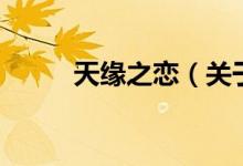 天緣之戀（關于天緣之戀的介紹）