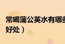 常喝蒲公英水有哪些好處（常喝蒲公英水有啥好處）