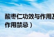 酸棗仁功效與作用及禁忌癥(酸棗仁的功效與作用禁忌)