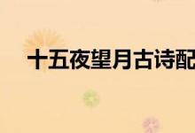 十五夜望月古詩(shī)配畫(huà)（十五夜望月古詩(shī)）