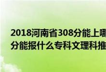 2018河南省308分能上哪些?？疲?022河南高考290-300分能報什么專科文理科推薦什么學校）