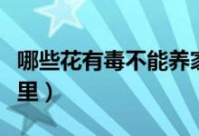 哪些花有毒不能養(yǎng)家里（什么花有毒不能養(yǎng)家里）