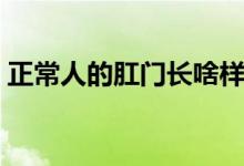 正常人的肛門長啥樣（正常的肛門長什么樣）