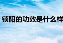 鎖陽的功效是什么樣的（鎖陽的功效是什么）