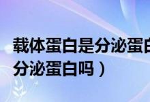 載體蛋白是分泌蛋白還是胞內(nèi)蛋（載體蛋白是分泌蛋白嗎）