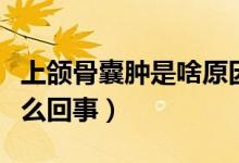 上頜骨囊腫是啥原因引起的（上頜骨囊腫是怎么回事）