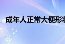 成年人正常大便形狀（大人正常大便形狀）