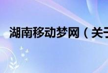 湖南移動(dòng)夢(mèng)網(wǎng)（關(guān)于湖南移動(dòng)夢(mèng)網(wǎng)的介紹）