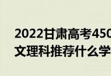 2022甘肅高考450-460分推薦上什么大學(xué)（文理科推薦什么學(xué)校）