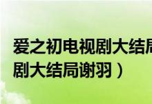 愛(ài)之初電視劇大結(jié)局謝羽的結(jié)局（愛(ài)之初電視劇大結(jié)局謝羽）
