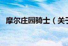 摩爾莊園騎士（關(guān)于摩爾莊園騎士的介紹）