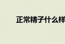 正常精子什么樣（正常精子什么樣）