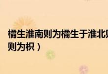 橘生淮南則為橘生于淮北則為枳（橘生淮南則為橘 生于淮北則為枳）