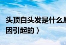 頭頂白頭發(fā)是什么原因（頭頂白頭發(fā)是什么原因引起的）