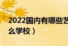 2022國(guó)內(nèi)有哪些藝術(shù)類院校（藝術(shù)生能上什么學(xué)校）