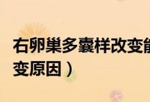 右卵巢多囊樣改變能治好嗎（右卵巢多囊樣改變原因）