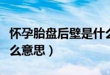 懷孕胎盤后壁是什么意思（懷孕胎盤后壁是什么意思）