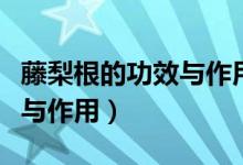 藤梨根的功效與作用及禁忌癥（藤梨根的功效與作用）
