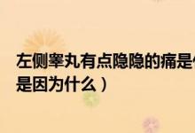 左側睪丸有點隱隱的痛是什么原因（睪丸左側有點隱隱作痛是因為什么）