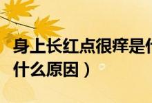 身上長紅點很癢是什么?。ㄉ砩祥L紅點很癢是什么原因）