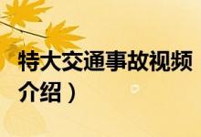 特大交通事故視頻（關(guān)于特大交通事故視頻的介紹）