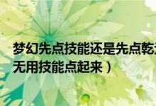 夢幻先點技能還是先點乾元丹（夢幻西游靠乾元丹讓玩家把無用技能點起來）