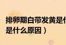 排卵期白帶發(fā)黃是什么原因（排卵期白帶發(fā)黃是什么原因）